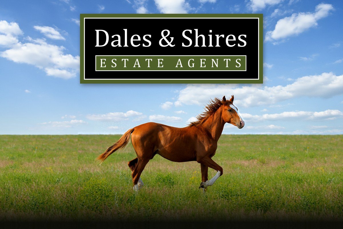 A horse galloping across a green field under a blue sky