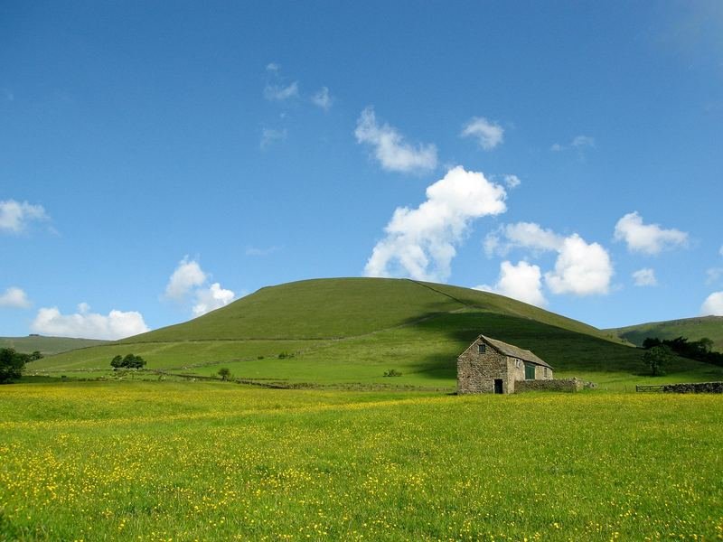 A stone barn in a buttercup meadow below a rounded green hill
