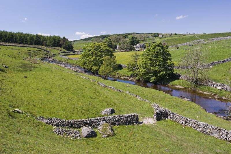 A beck winding through a walled Dales valley