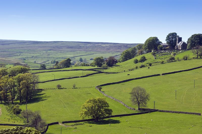 Walled green pastures and scattered trees below open moorland
