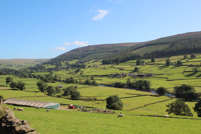 A wide view along a Dales valley of walled fields
