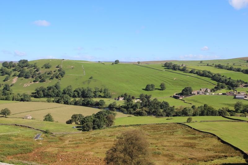 Hillside pastures and scattered trees, with farm buildings