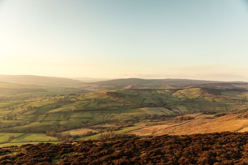 Heather moorland at sunrise, looking over hills and valleys