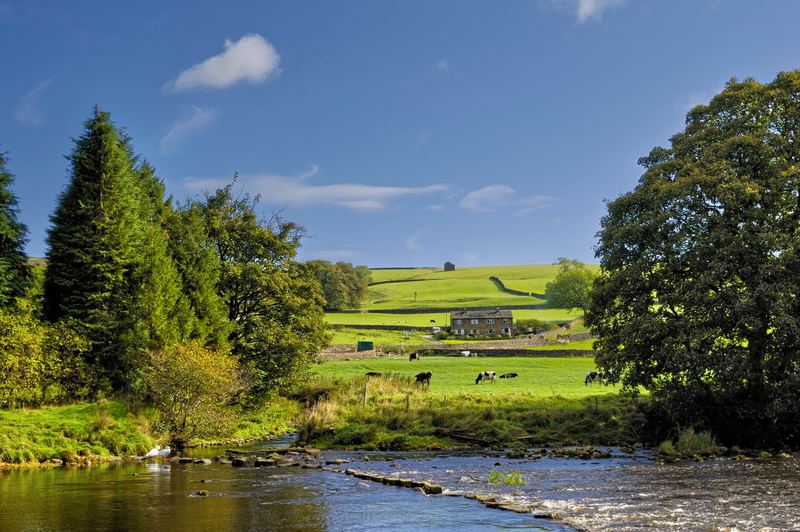 A river running past trees, with a field barn beyond