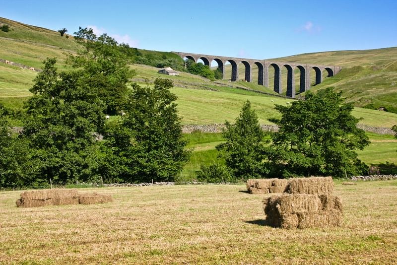 Hay bales in a field below a railway viaduct