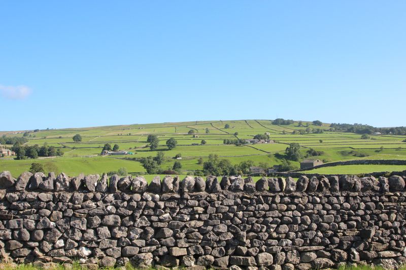 A dry-stone wall with walled fields and barns beyond