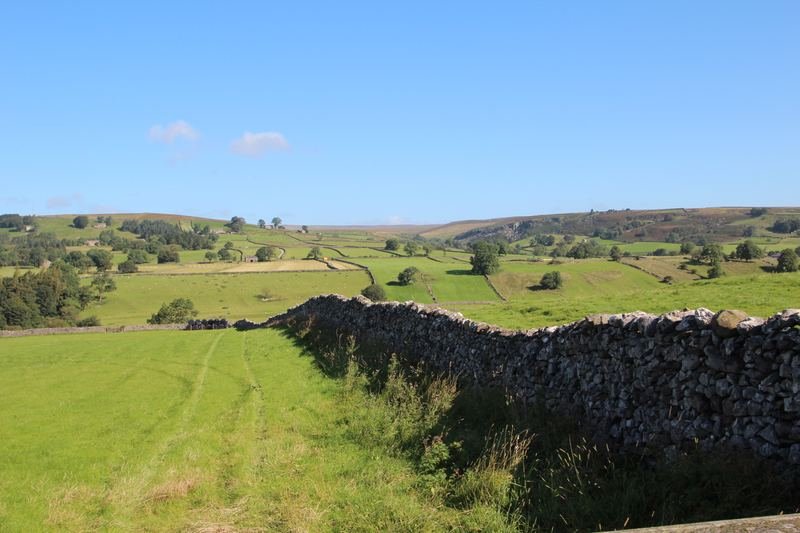 A dry-stone wall running up a field, with moorland beyond
