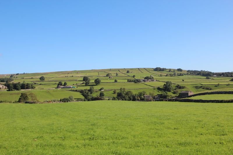 Walled green fields rising to a hillside under a clear sky